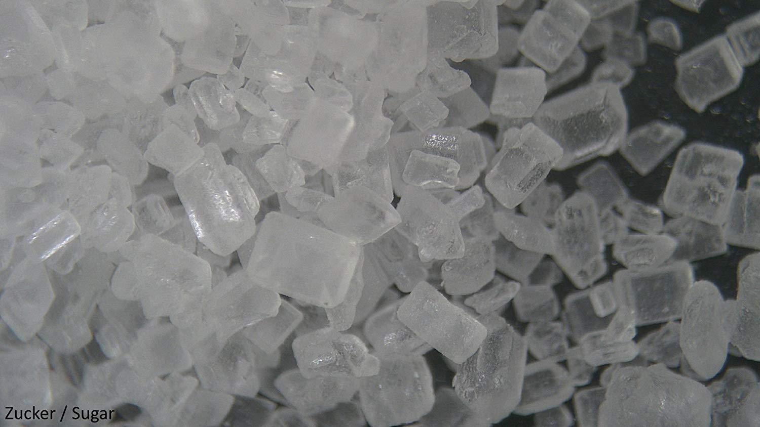 National Geographic Stereo Microscope 20X