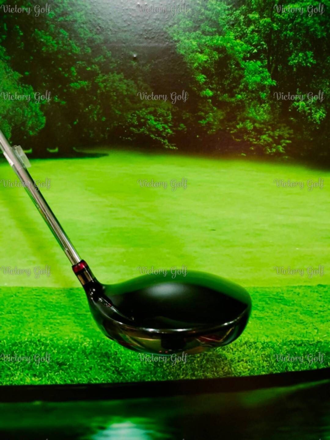 Driver Yonex NANOV SG Loft 10.5° (NANOPREME NP50 / S)