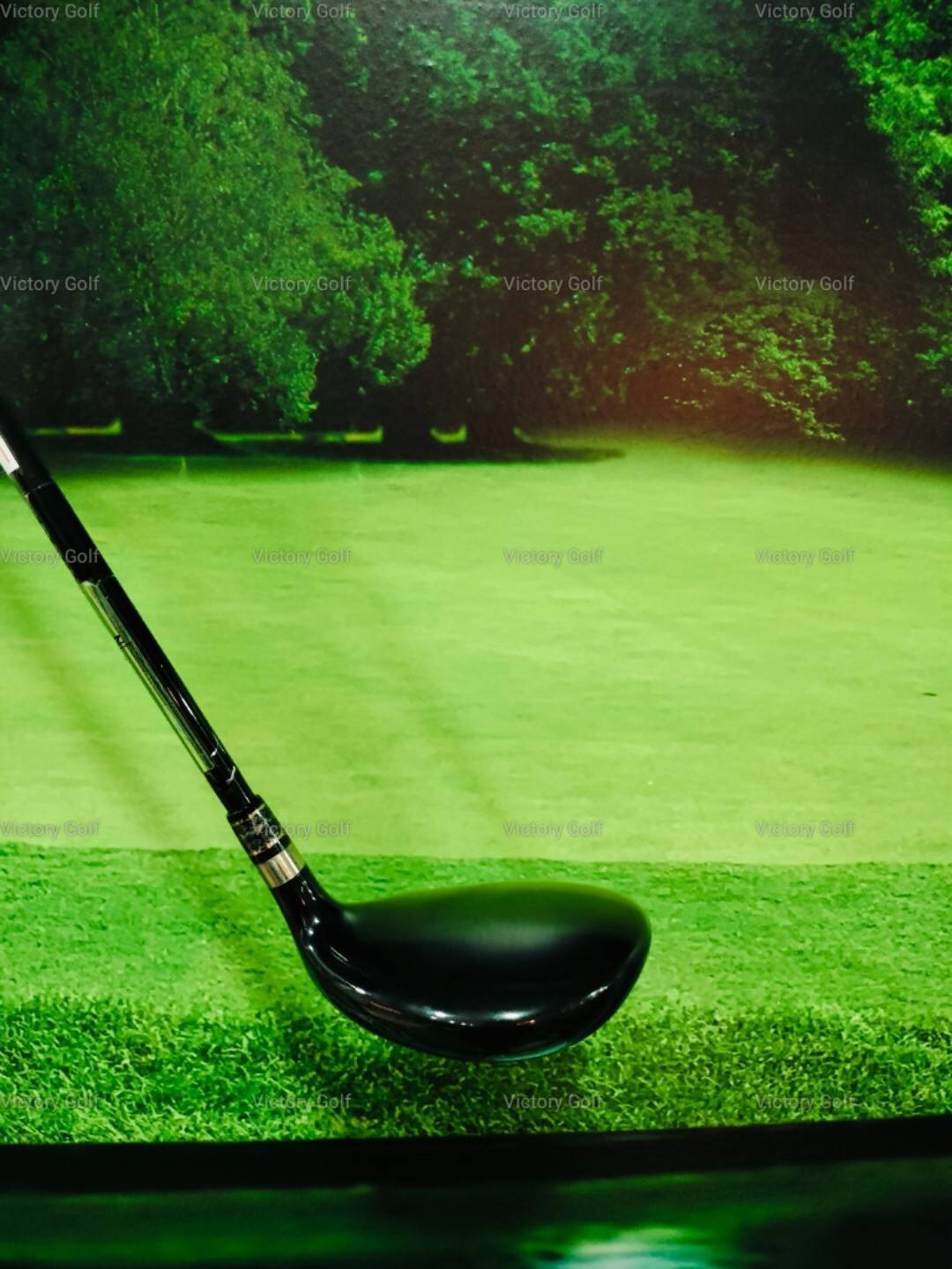 Fairway Epon AF-202 7/21 (Crazy Fw-01 Evolution) / (Flex : 5.9)