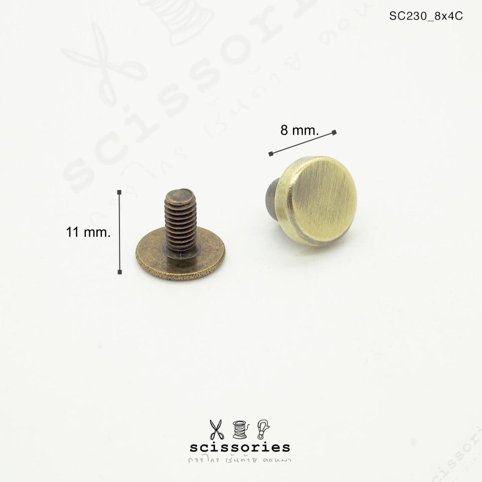 หมุดเกลียว 8mm ขายาว4 mm สีเงิน 2ตัว