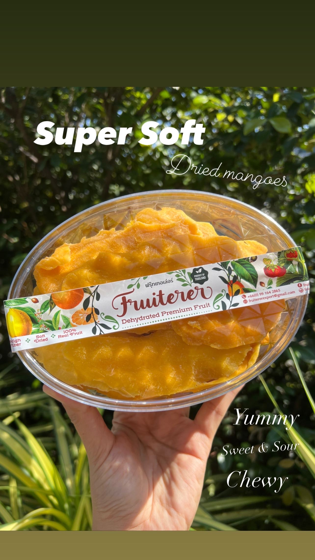 Dehydrated Premium Mangoes 500g. มะม่วงแก้วขมิ้นอบนิ่ม 500 กรัม