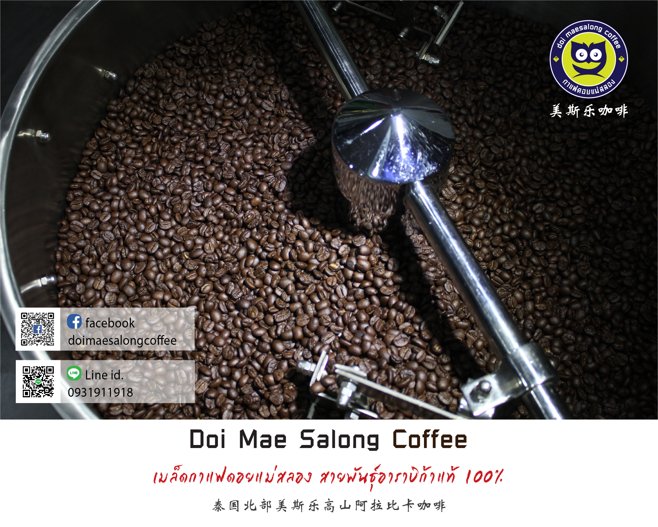 เมล็ดกาแฟคั่วกลางเข้ม เมล็ดกาแฟอาราบิก้า คุณภาพเกรดA