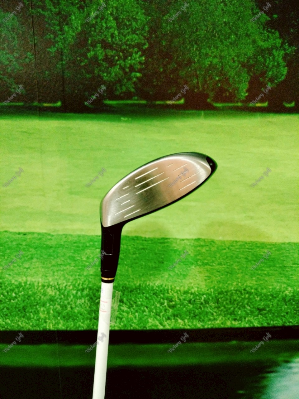 Fairway Honma Amazing Spec Perfect Switch 5/18 ( Perfect Switch )/ ( S )