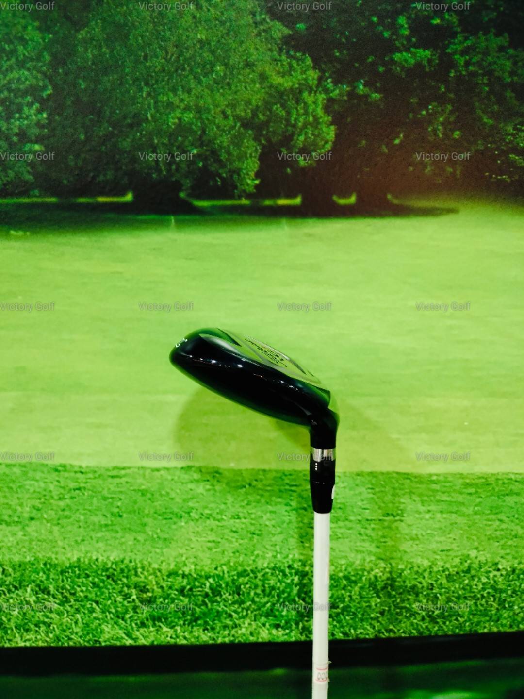 Utility Titleist VG3 4/17 (FUBUKI 70) / (X)