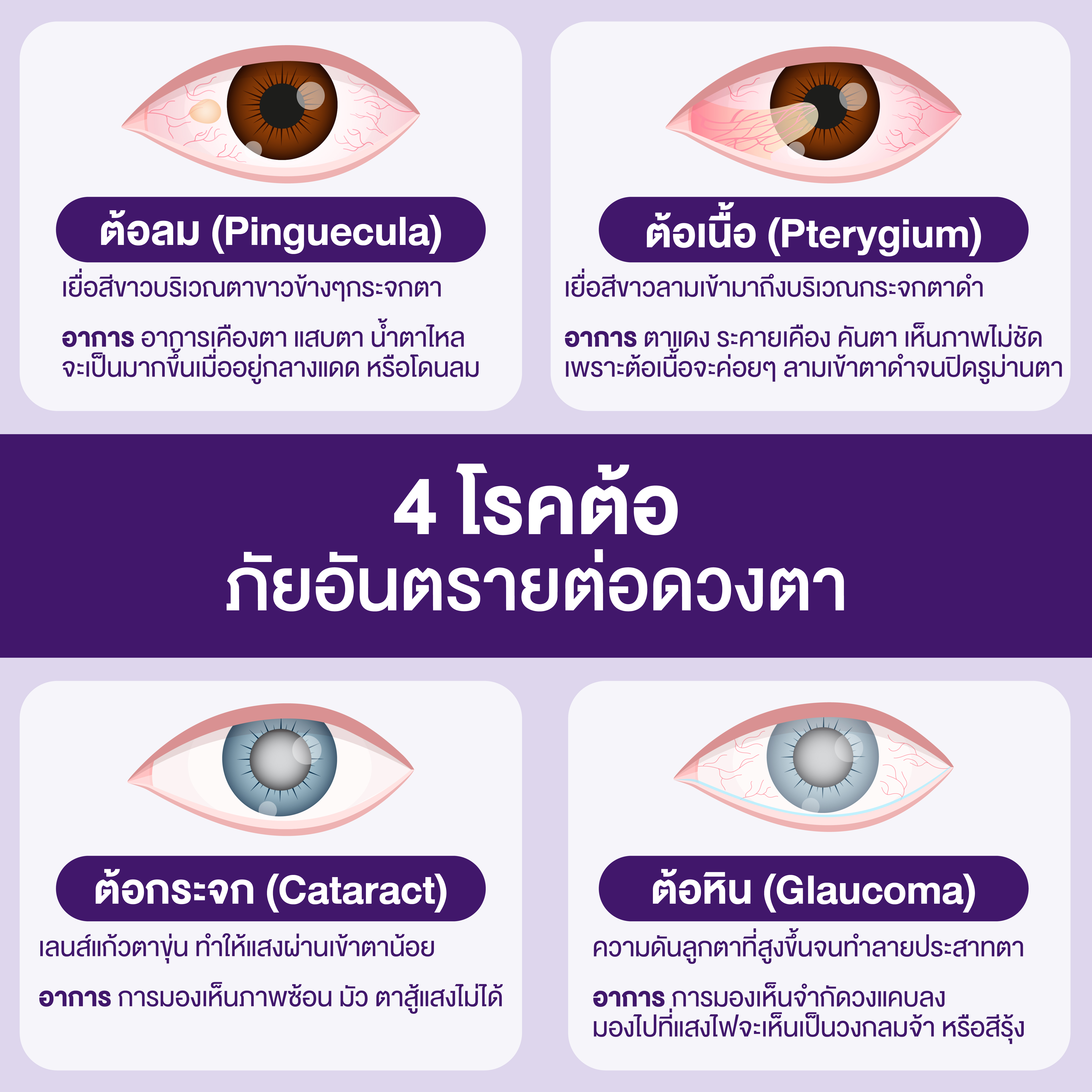 เบญจออยล์ ไอ พลัส เบอร์รี่ ราคา เบญจออยล์ ไอ พลัส เบอร์รี่ ราคา