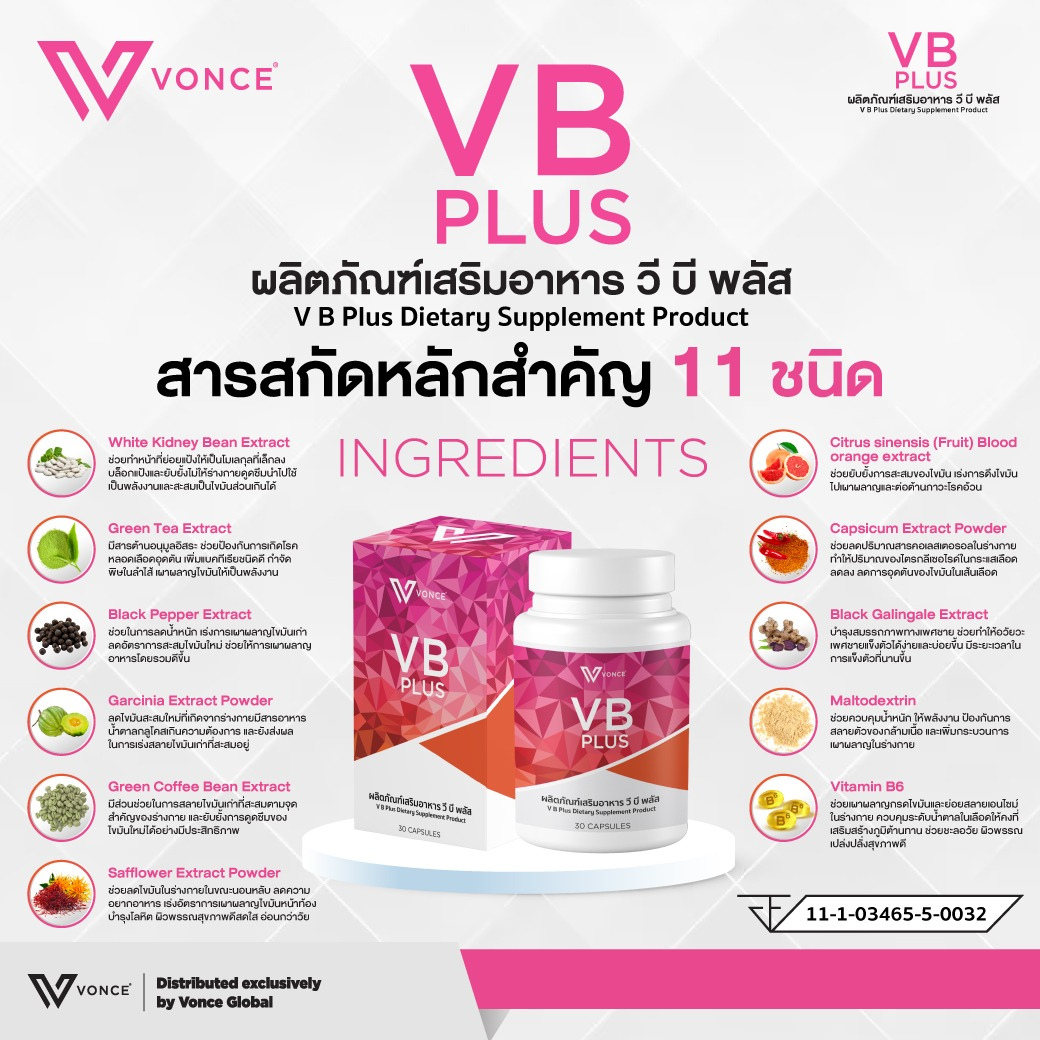 vb plus วีบี พลัส