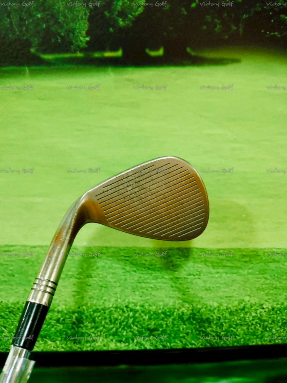 Weged Taylormade HI-TOE 56/10 (Dynamic Gold) / (S200)