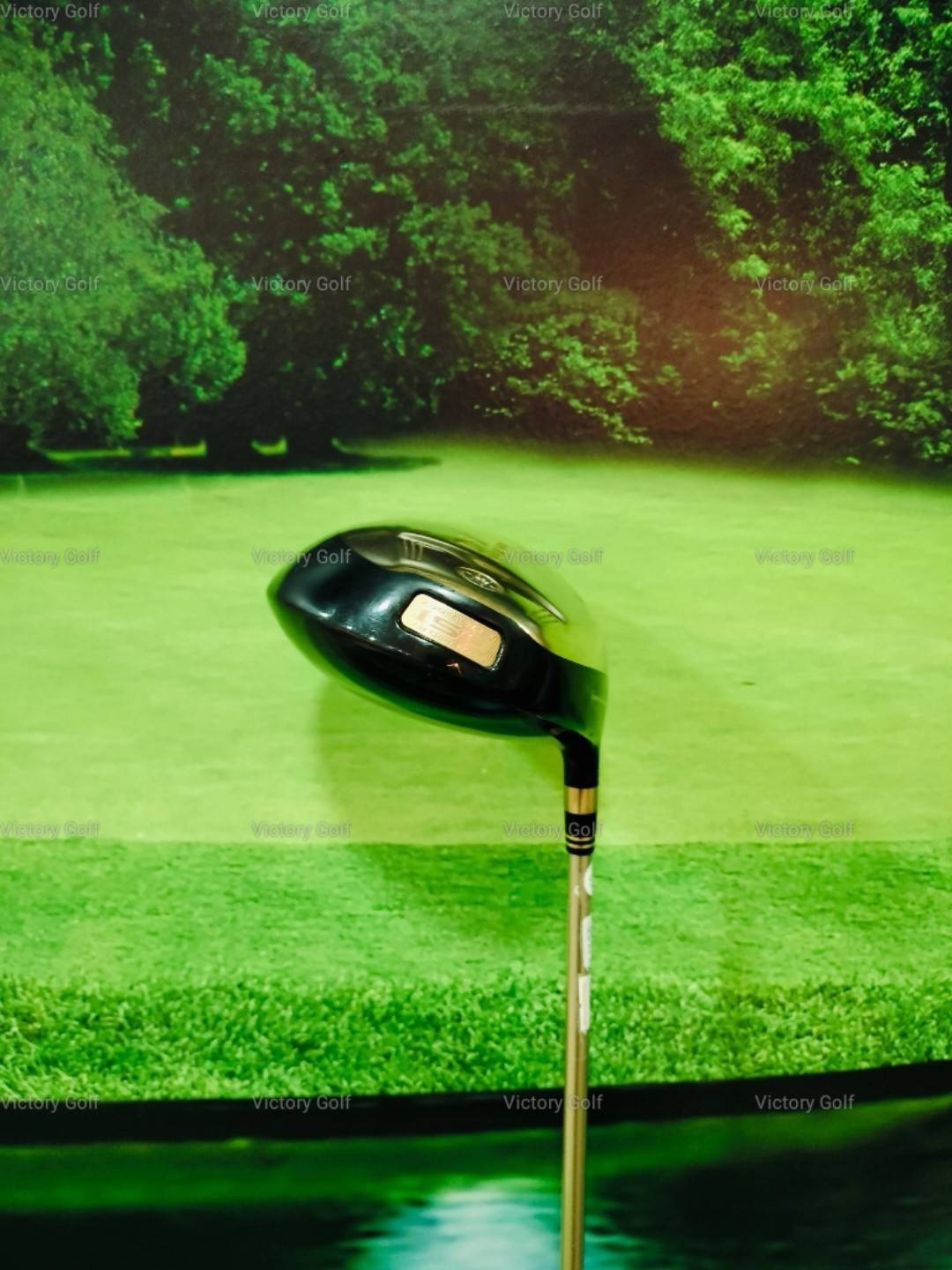 Driver Ryoma D-1 Maxima Special tuning 10.5 (Tour AD M2-G) / (SR)