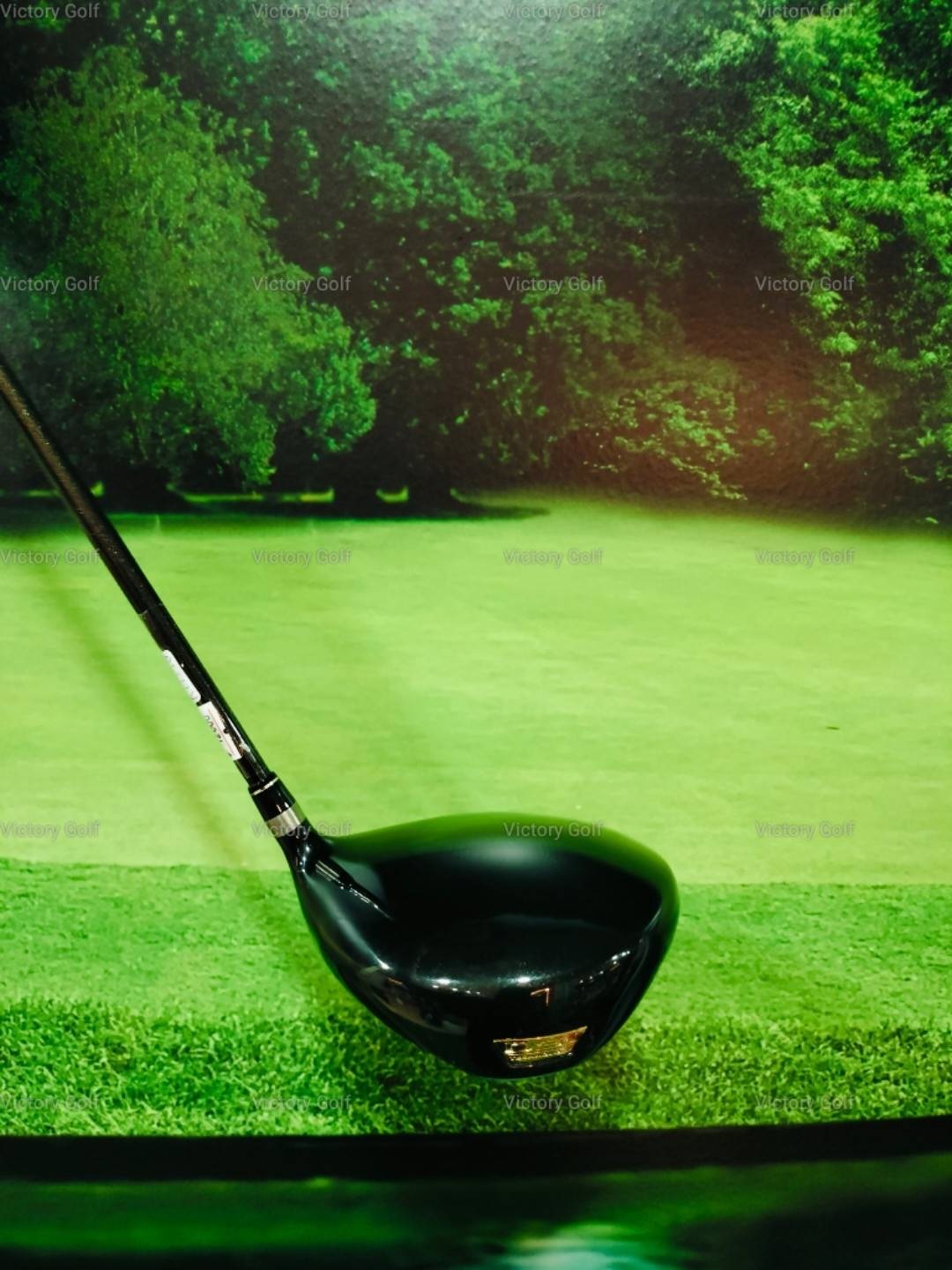 Driver Ryoma Maxima Type D 10.5 (Tour AD M2-D) / (SR)