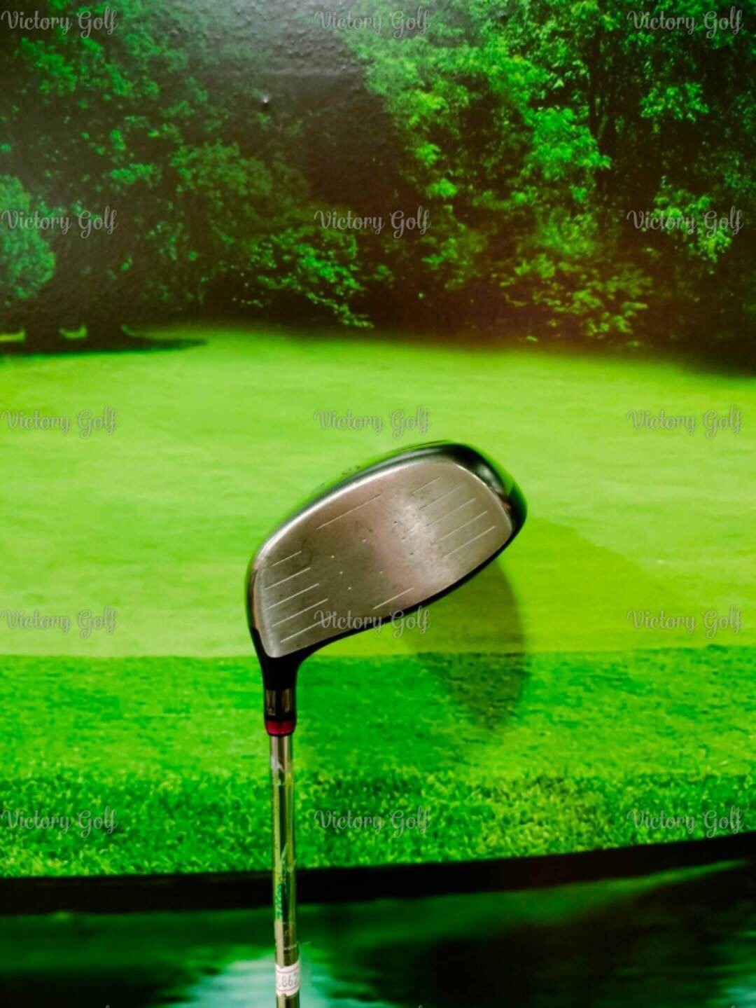 Driver Yonex NANOV SG Loft 10.5° (NANOPREME NP50 / S)