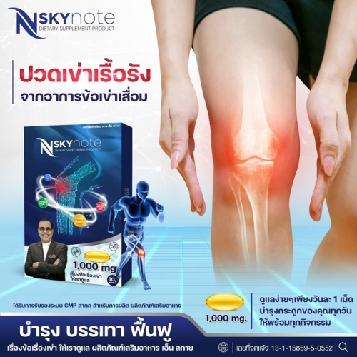 nskynote เอ็น สกาย โน๊ต เชิญยิ้ม 3