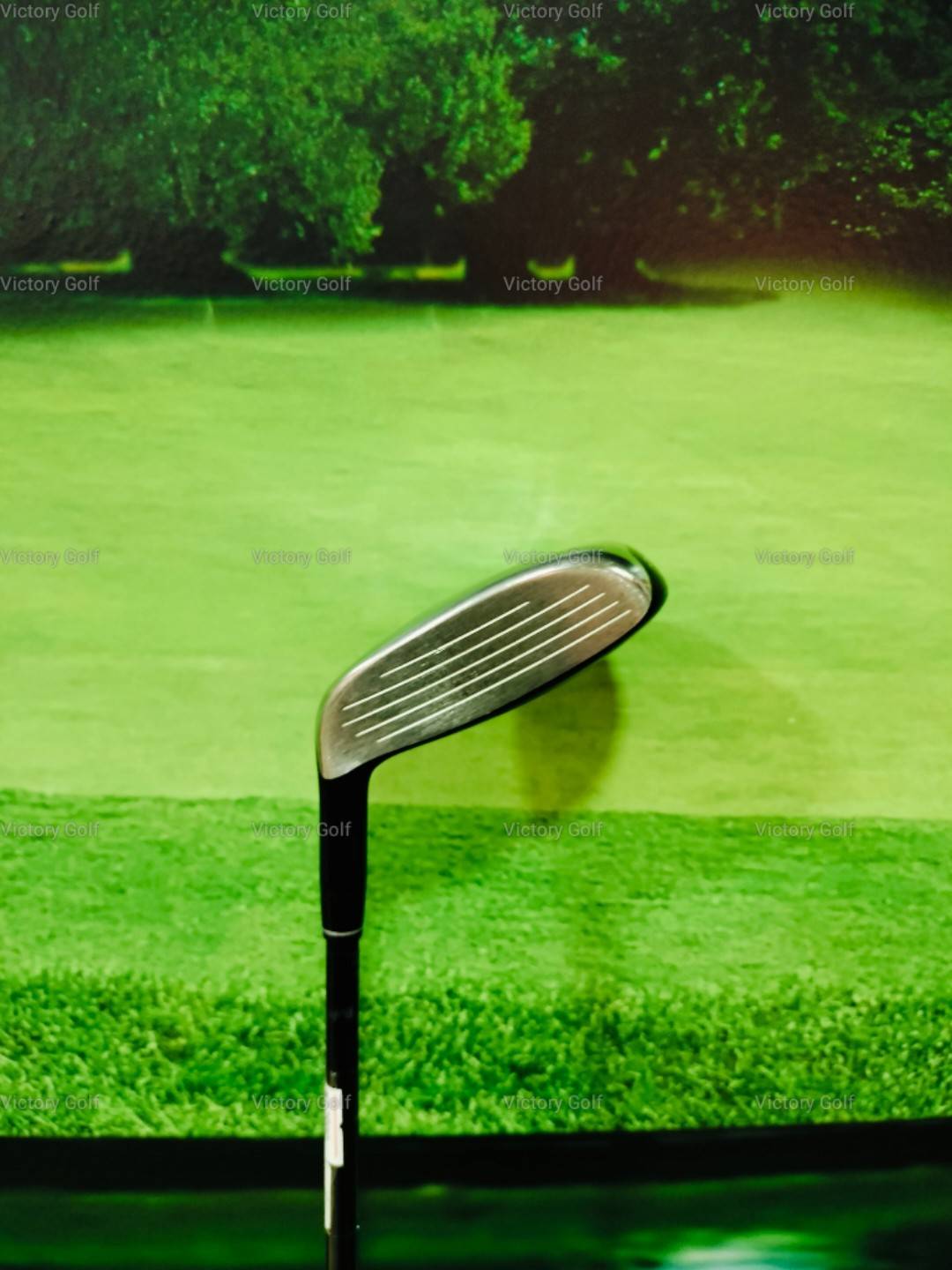 Utility Titleist VG3 /25 (Machline55) / (SR)