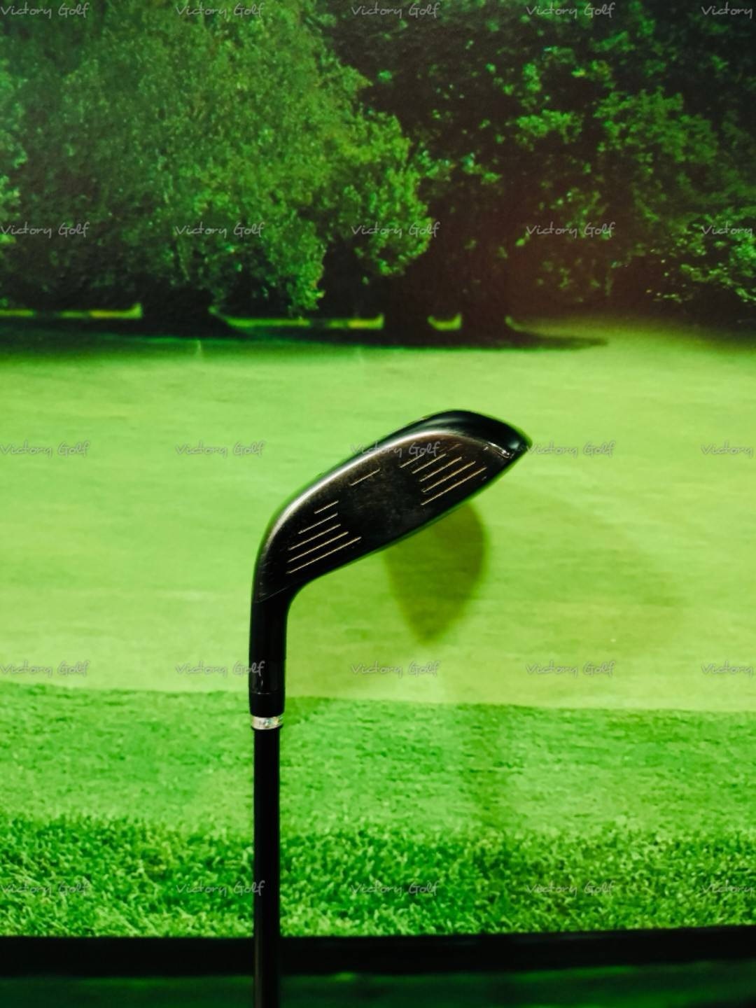 Fairway Katana Voltio Ninja 5/18 (Speeder 462) / (R)