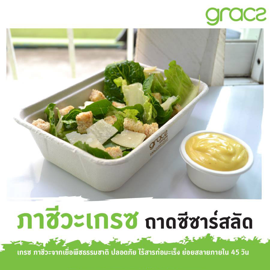 GRACZ ยกลัง กล่องข้าว ไม่รวมฝา T601 ขนาด 600 มล. 1000 ใบ ไบโอชานอ้อย