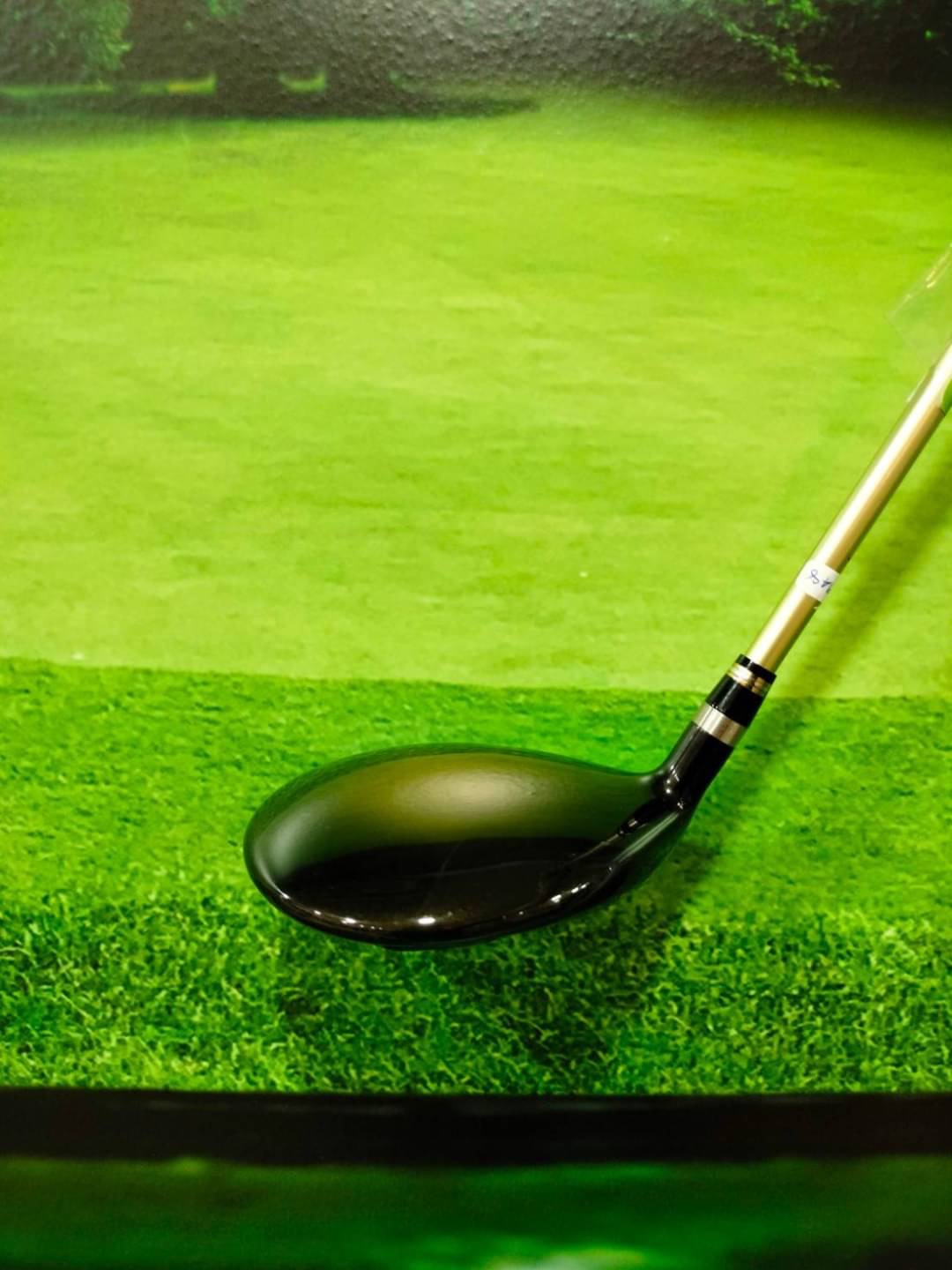 Fairway Honma Beres S-06 w.3 (ARMRQ X) 2 star , flex : R