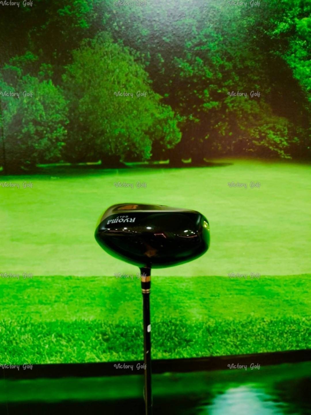 Driver Ryoma Maxima Type G Loft 9.5 (Tour AD M2-V / SR)