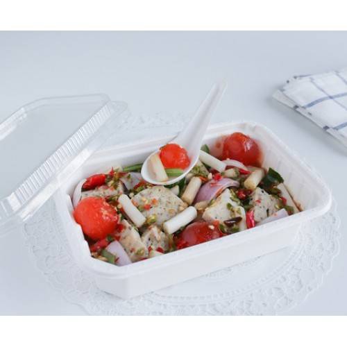 FEST ช้อนสั้น เฟสท์ ไบโอ BSP001 แพ็ค 100 ชิ้น