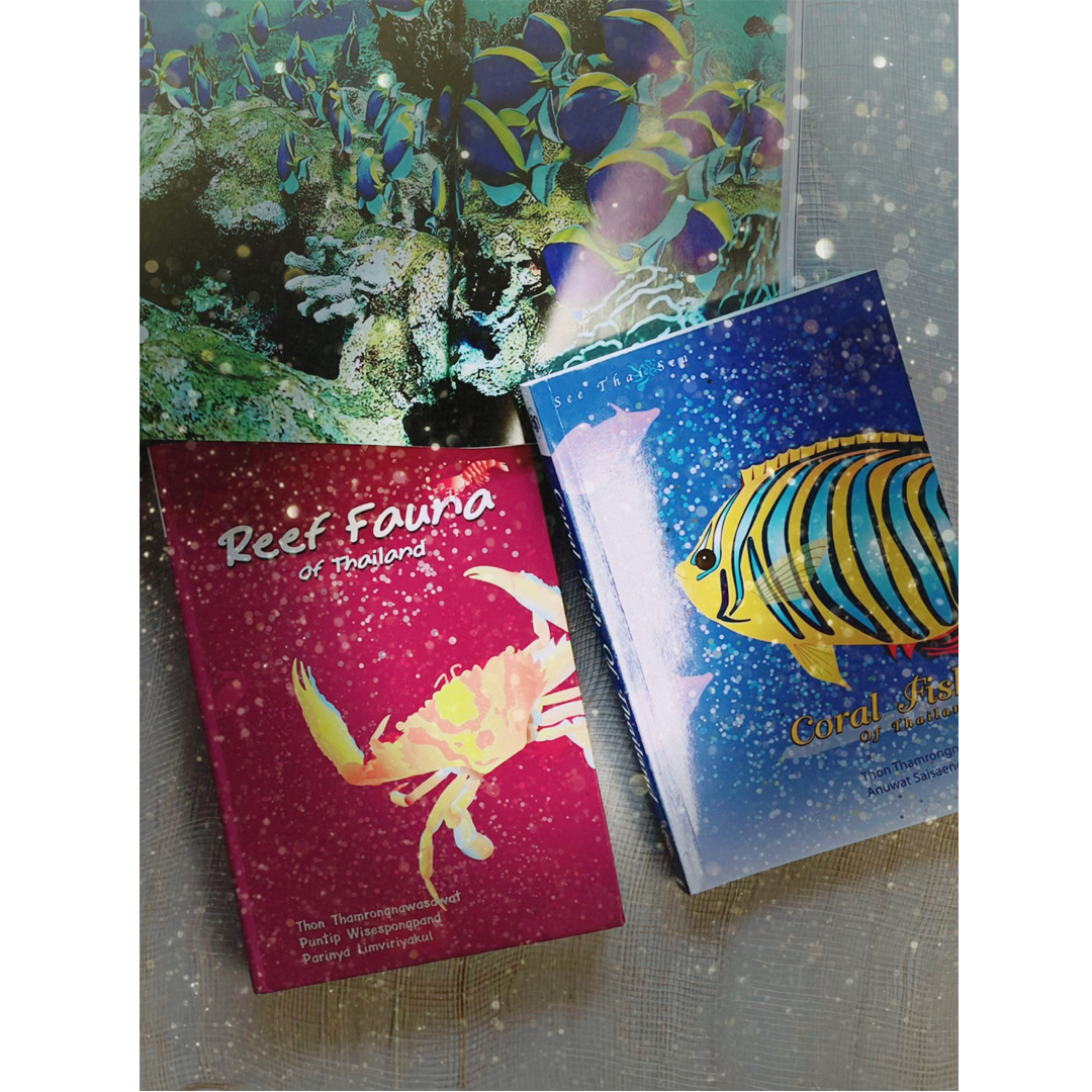 ชุด Reef Fish Set