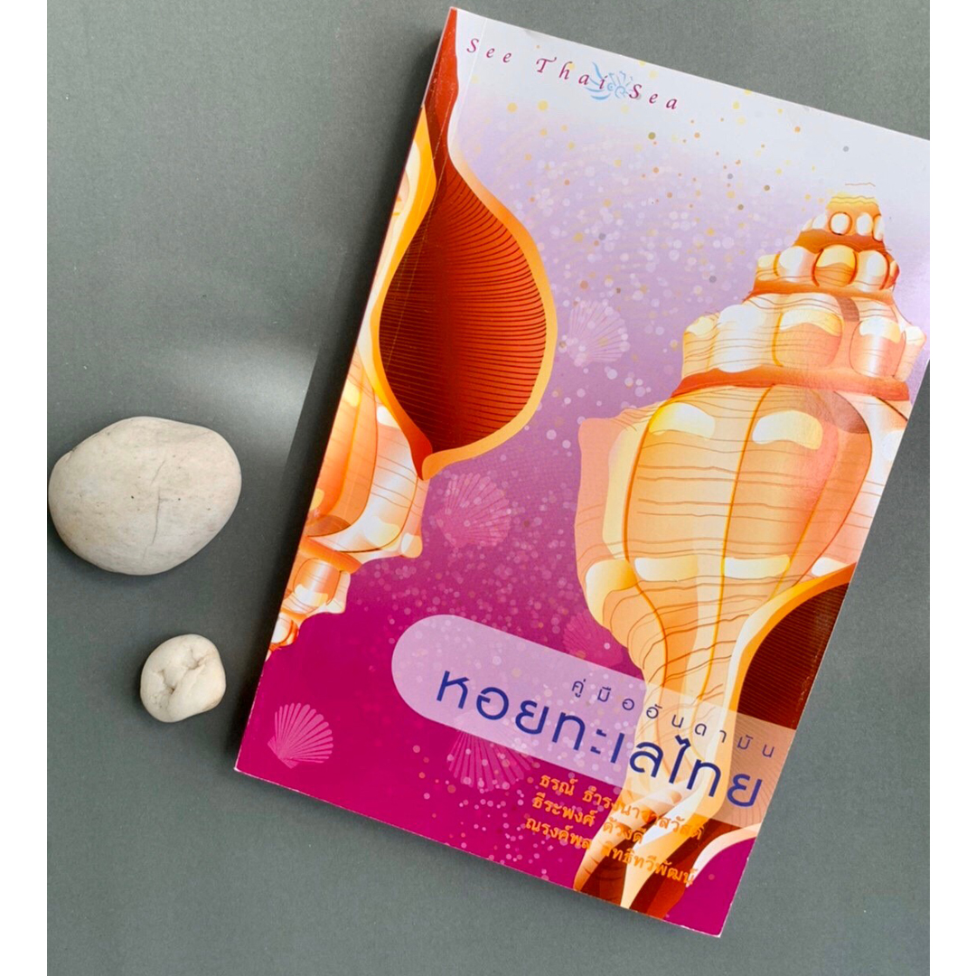 คู่มืออันดามัน หอยทะเลไทย