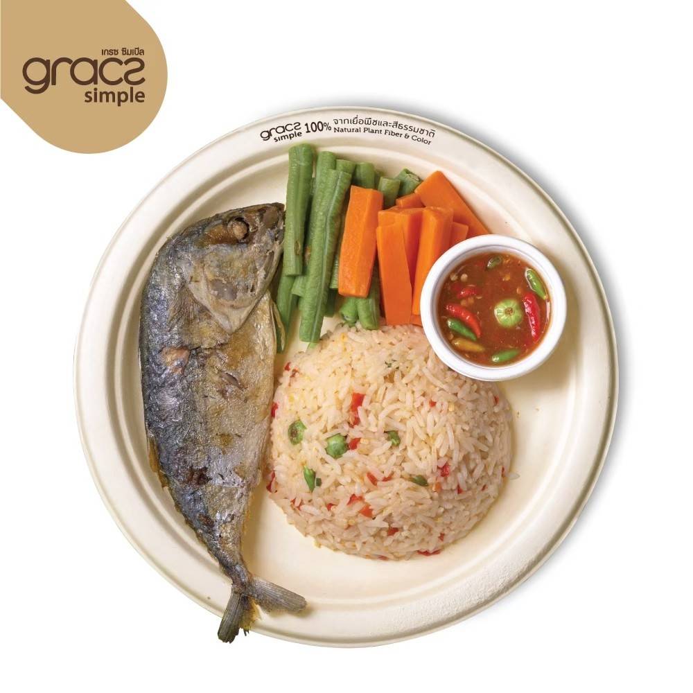 GRACZ จาน กลม มีขอบ P013 ขนาด 9 นิ้ว ไบโอชานอ้อย