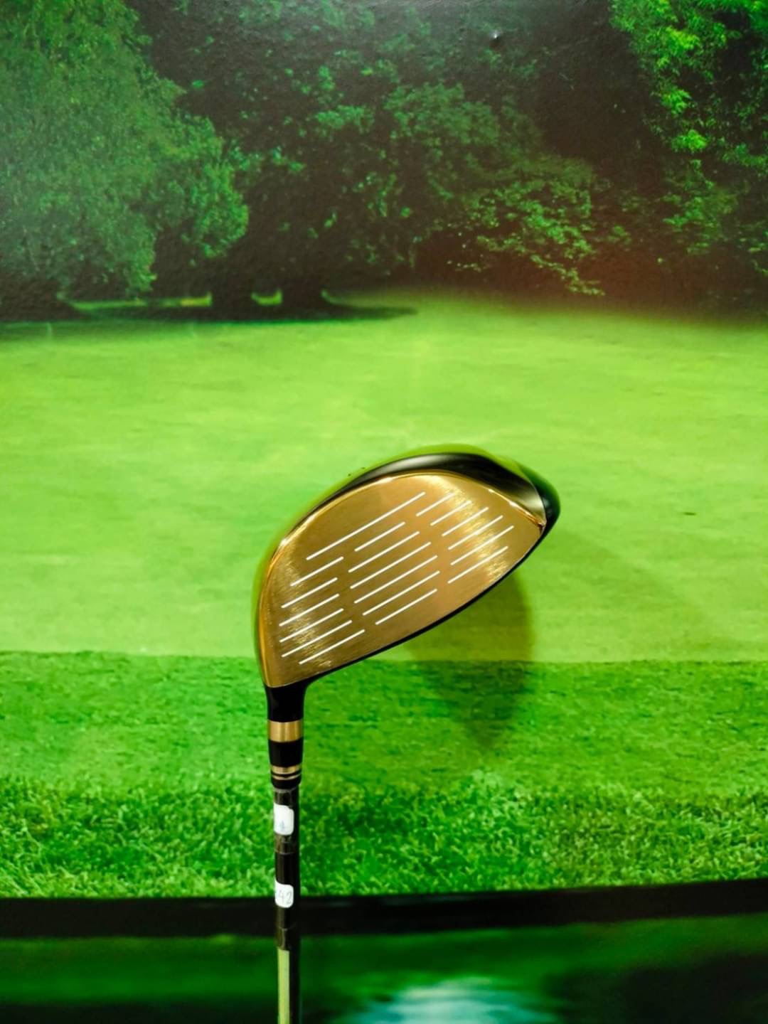 DRIVER Ryoma MAXIMA TYPE G Loft 9.5 (TOUR AD 55) flex: R, SR