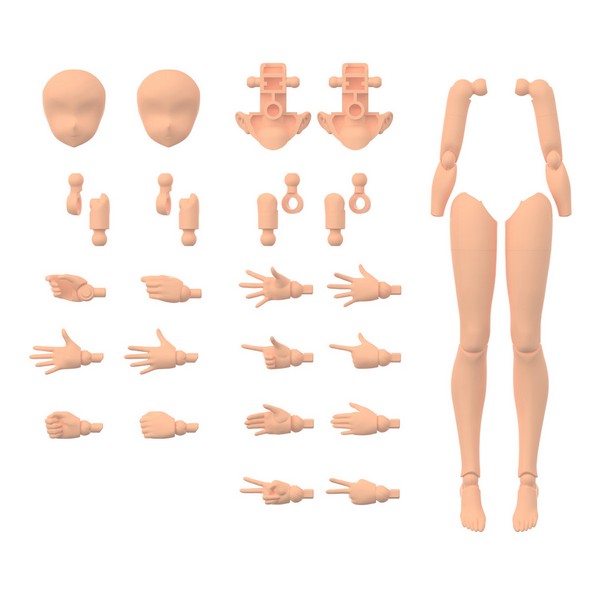 Bandai 30MS Option Body Parts Arm Parts & Leg Parts (Color C) 4573102639431 (Plastic Model)