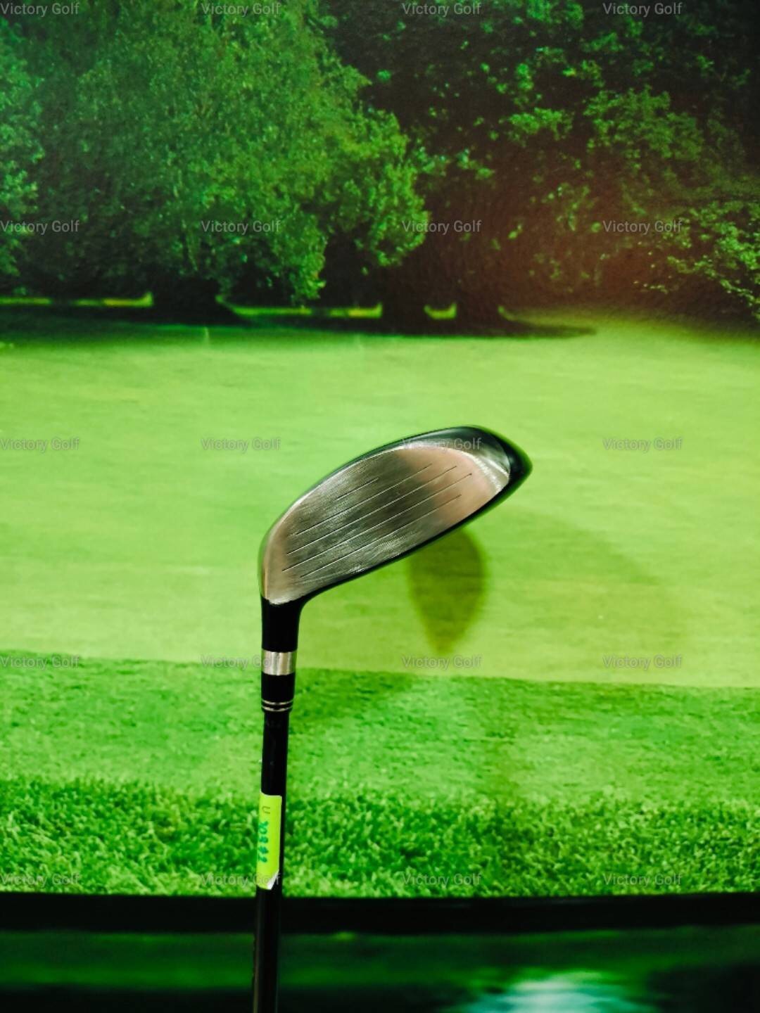 Fairway Epon AF202 W.3 (Shaft CRAZY 50 ) / (X)