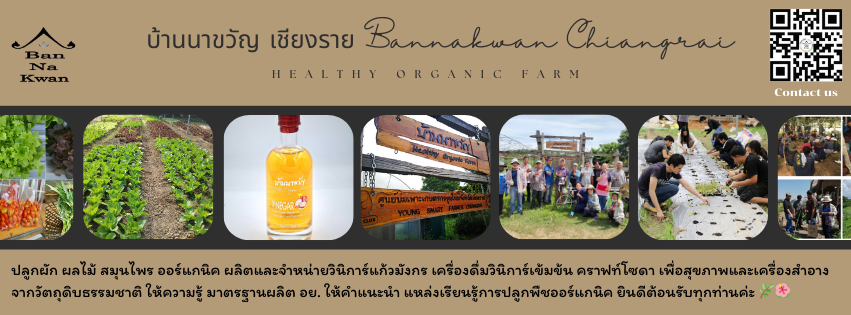 บ้านนาขวัญ เชียงราย - BanNaKwan Chiangrai