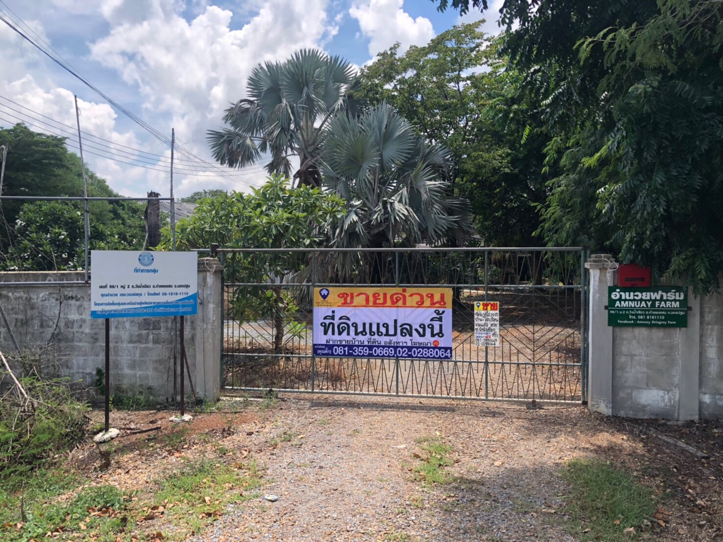 ขายที่ดินซอยวังน้ำเขียว (กำแพงแสน) (รหัสทรัพย์ 2019155) ต.วังน้ำเขียว อ.กำแพงแสน จ.นครปฐม ขนาด 35 ไร่ 20 ตรว.