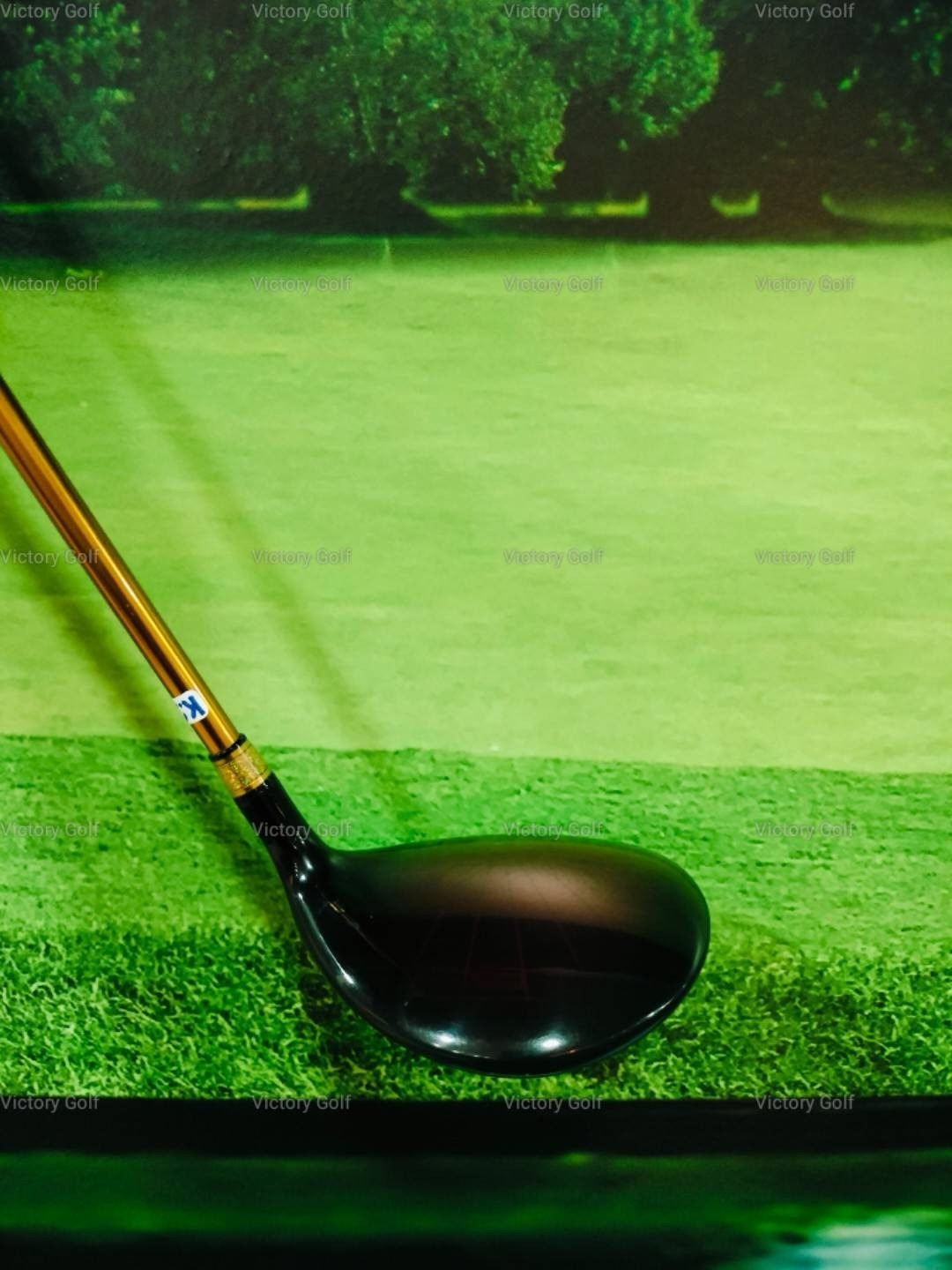 Fairway Spiderman SPM02 3/15 (Protec Wing Blue) / (R-1)