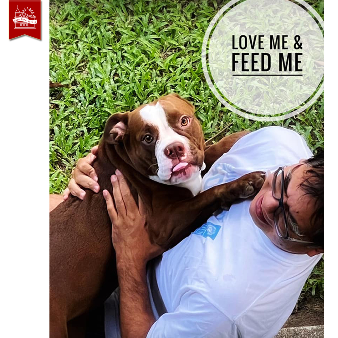 หนังสือ เรื่องของโระ