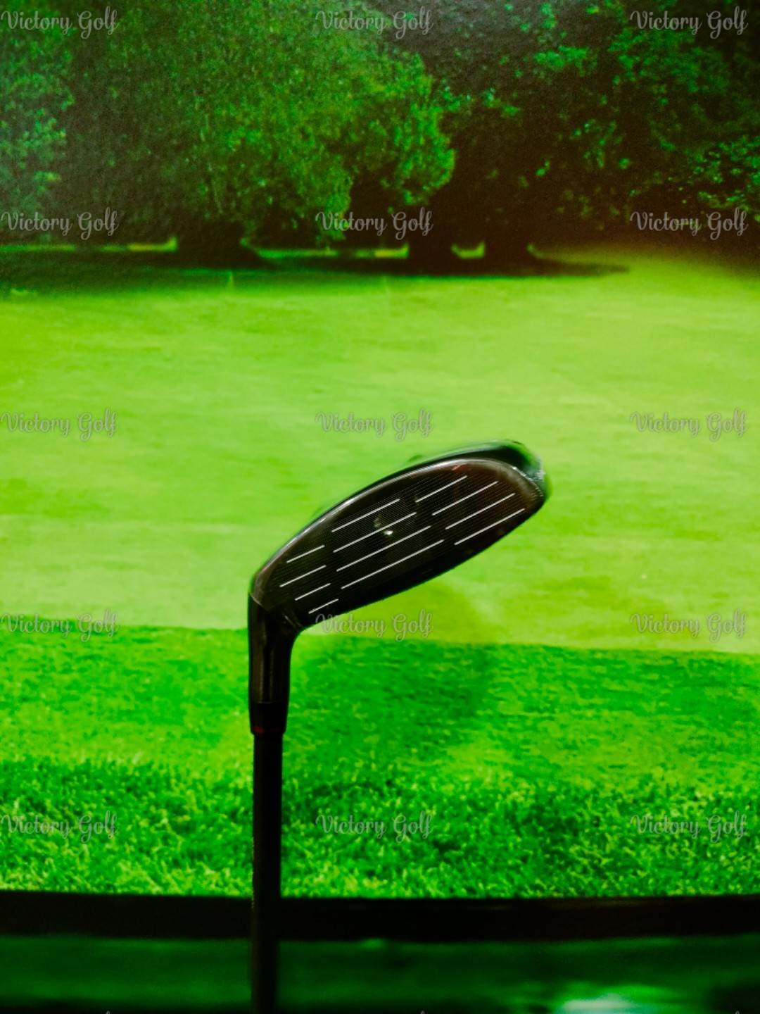 Ut. ON-OFF Model WINGS AKA 2024 U.3/18 (Flex: R)