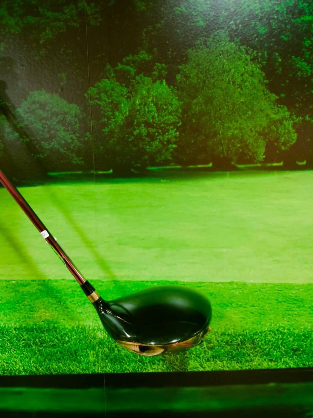 Driver Works Golf ULTIMIZER V4 PREMIA 460 CC. Loft 10.5 (Diamana Shaft) Flex:R (หน้าเด้ง)