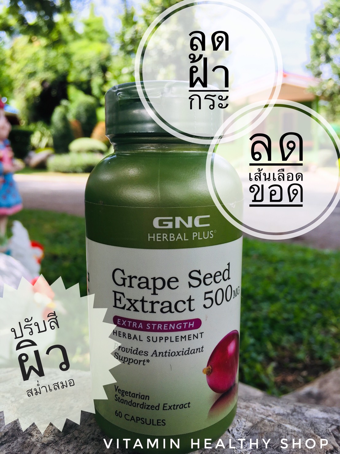 GNC Herbal Plus Grape Seed Extract, 500 mg. Vegetarian 60 Capsules (95% Polyphenols)