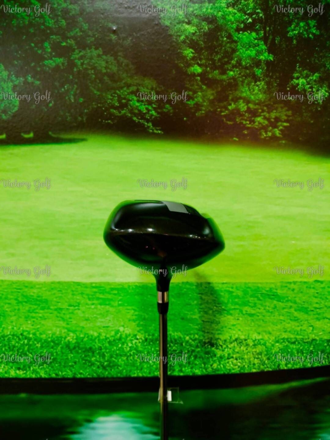 Driver Yonex Ezone Loft 10°.0 (Diamana S73) / (S) 44"/322g.