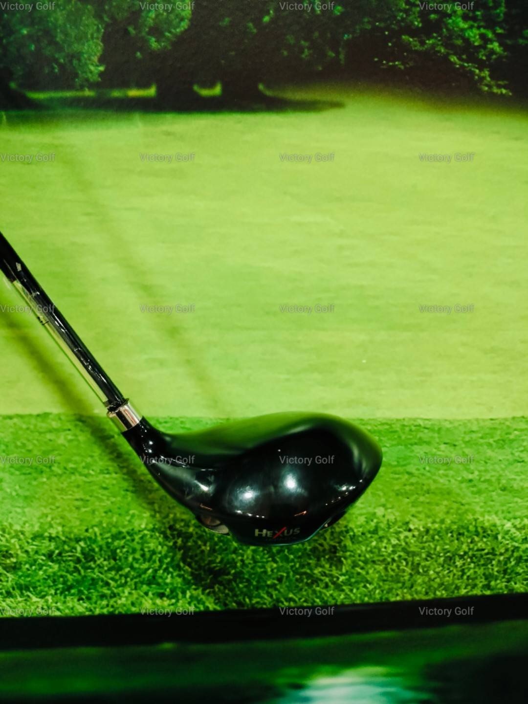 Fairway Hexus LS w.5/19 ( HEXUS Lite Spec) / (R)