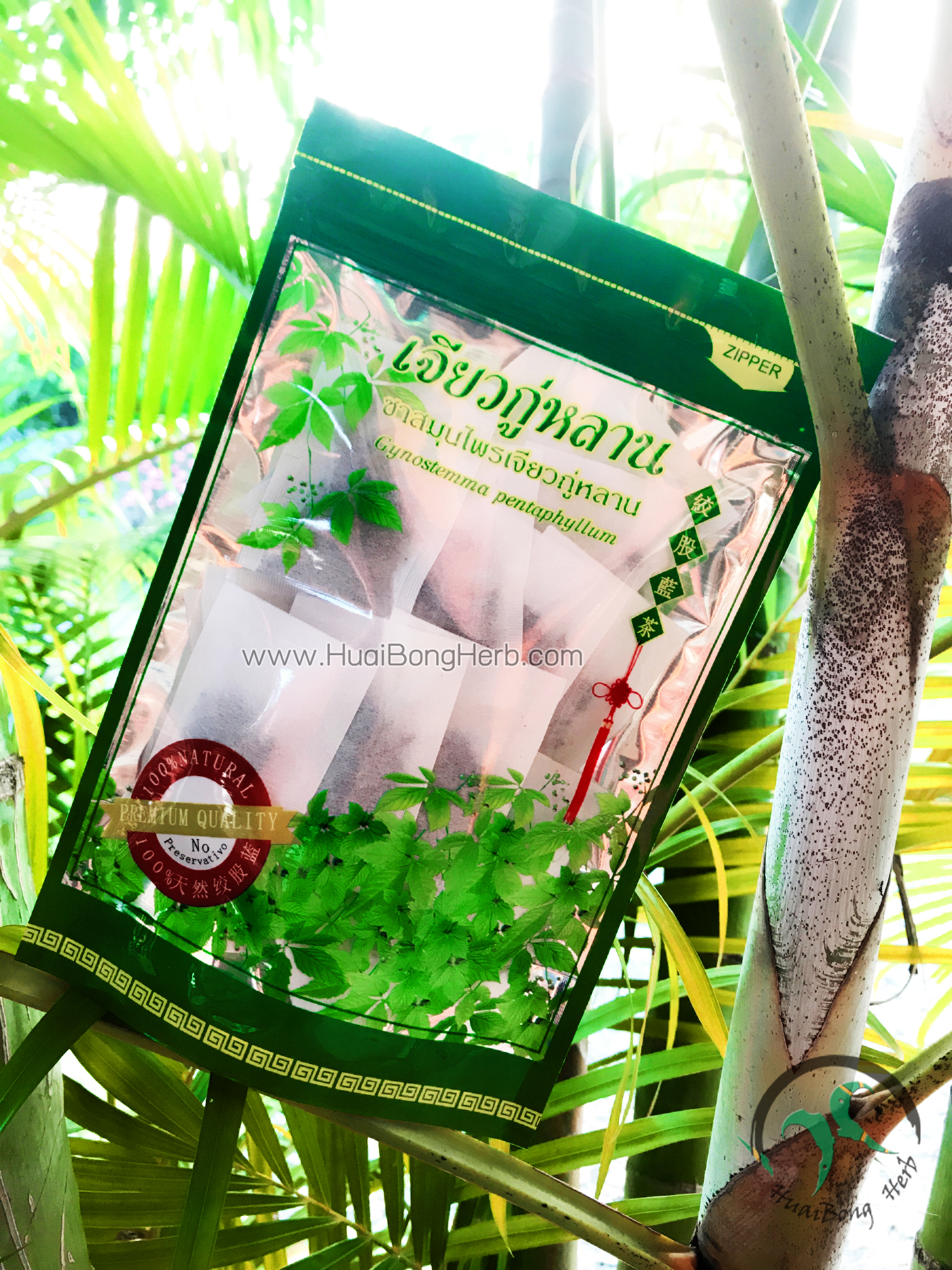 ชาเจียวกู่หลานชนิดซองเกรดA 25ซอง(ซื้อ1 แถม1)