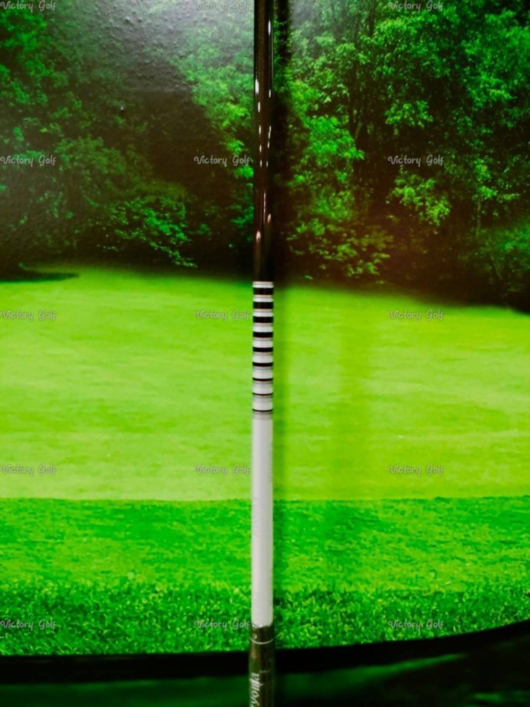 Driver Ryoma Maxima Type G Loft 9.5 (Tour AD M2-V / SR)