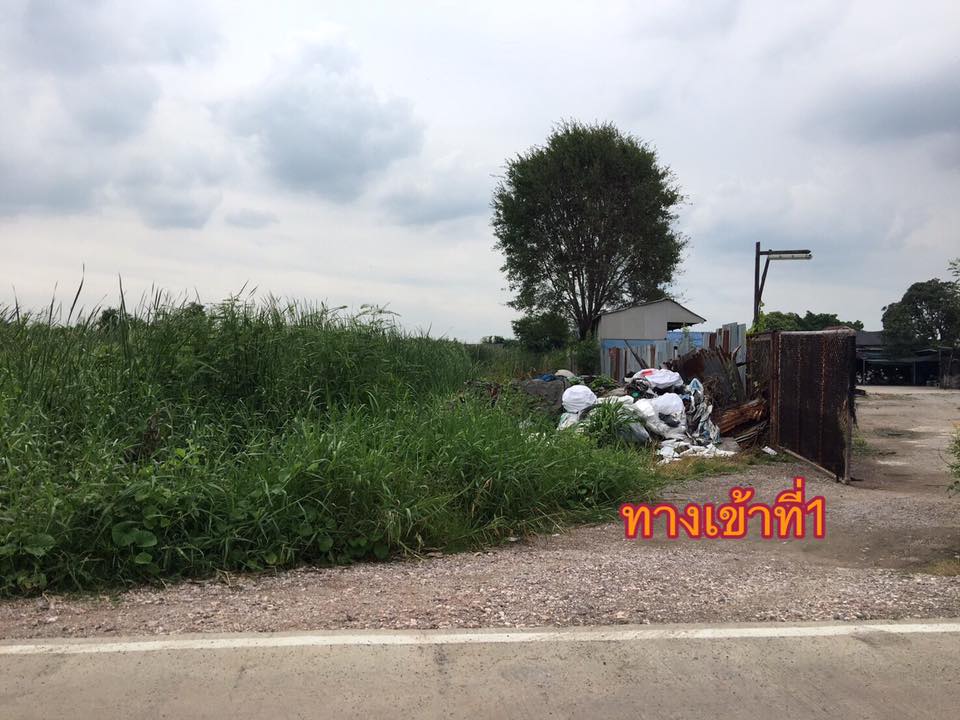 ขายที่ดิน ซ.เพชรเกษม126 อ้อมน้อย กระทุ่มแบน สมุทรสาคร พื้นที่ 337 ตรว. รหัส L7