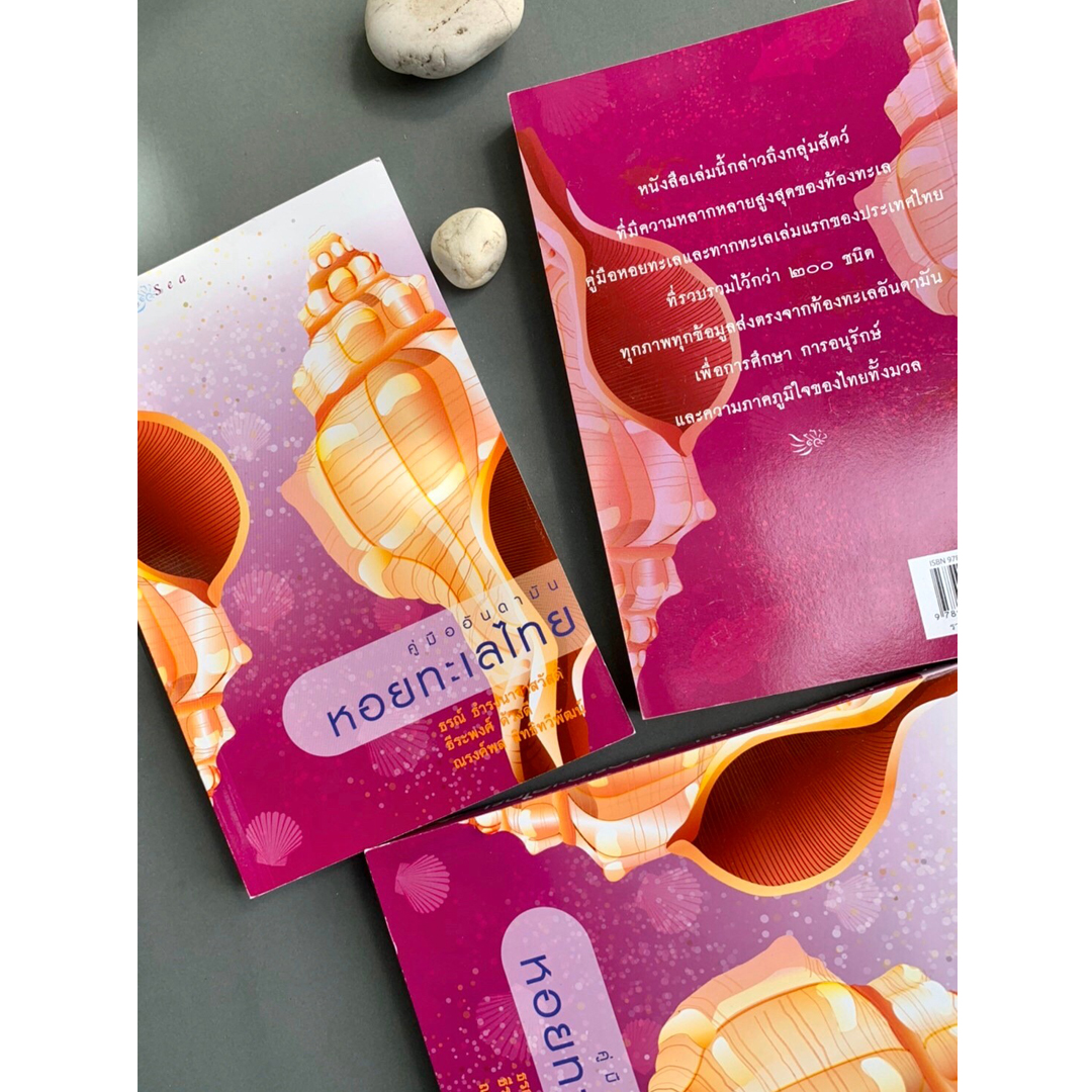 คู่มืออันดามัน หอยทะเลไทย