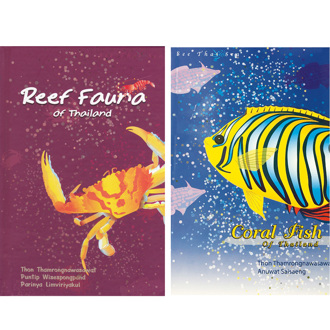 ชุด Reef Fish Set