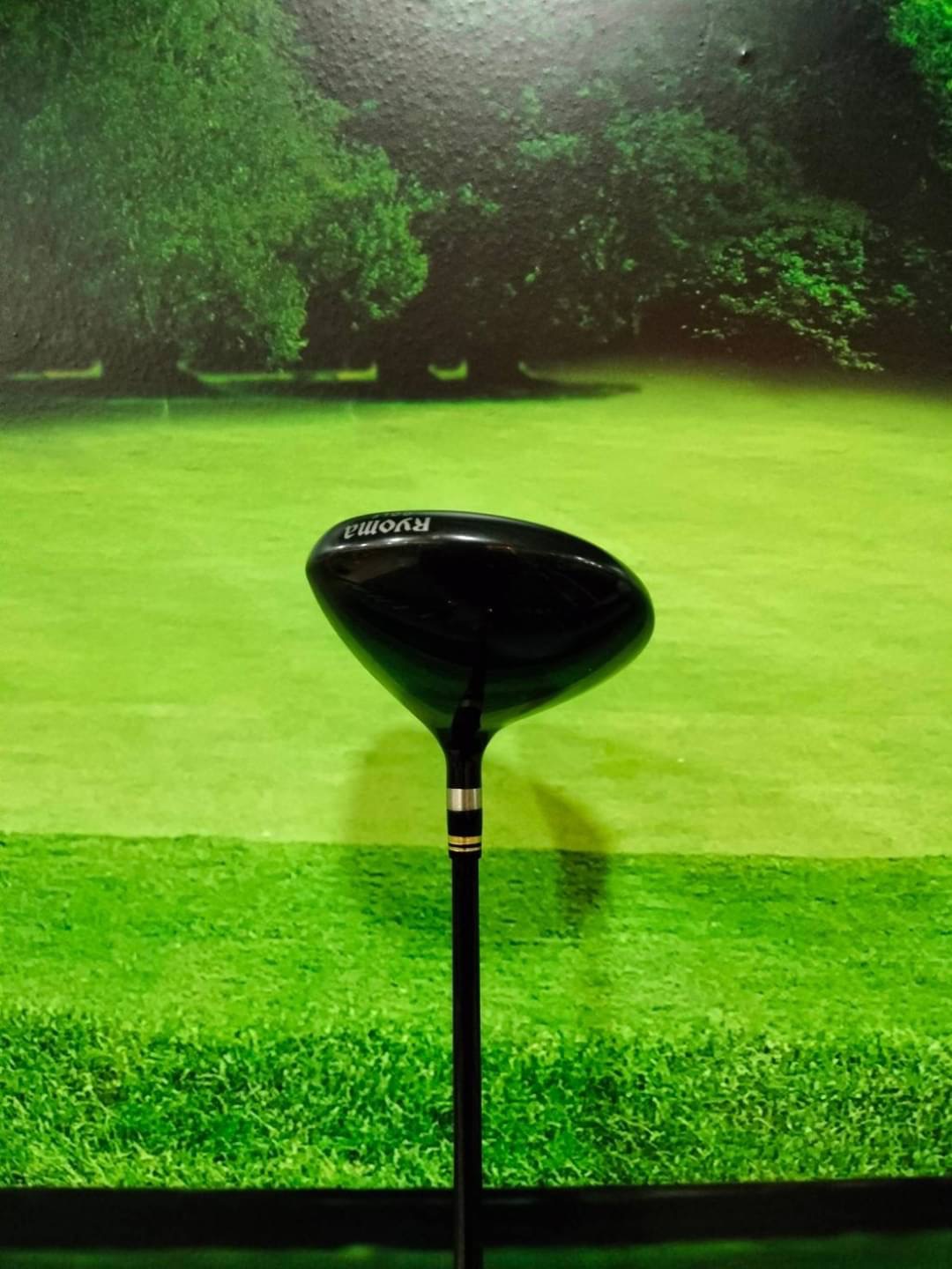 Fairway Ryoma D-1 F5 5/18 (TOUR AD) / (SR)