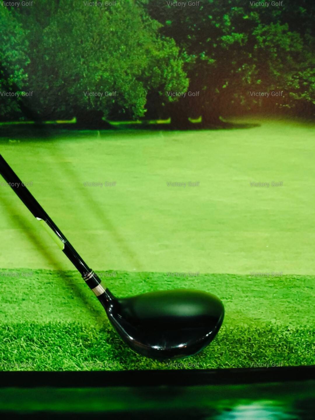 Fairway Epon AF202 W.3 (Shaft CRAZY 50 ) / (X)