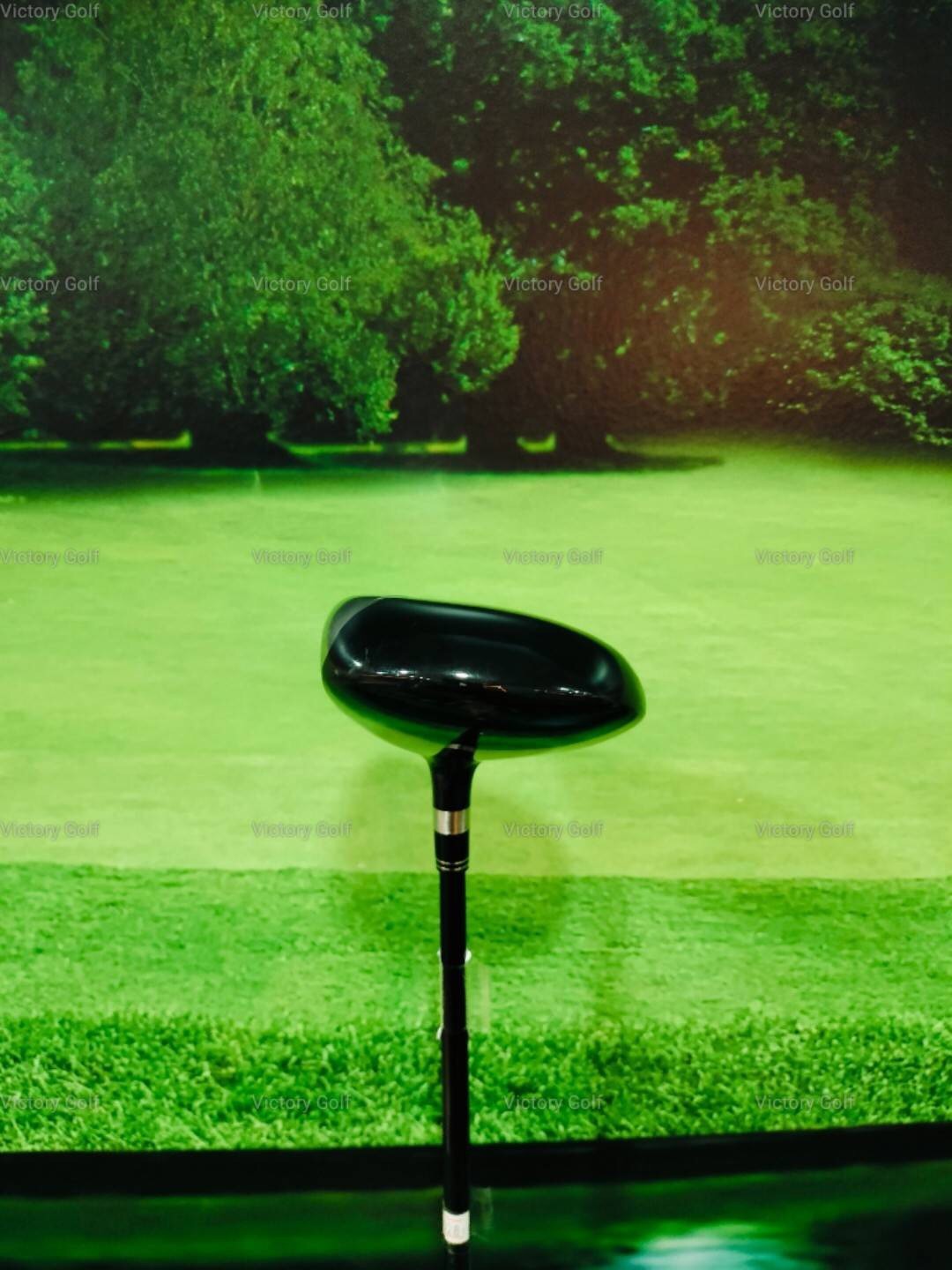 Fairway Epon AF202 W.3 (Shaft CRAZY 50 ) / (X)