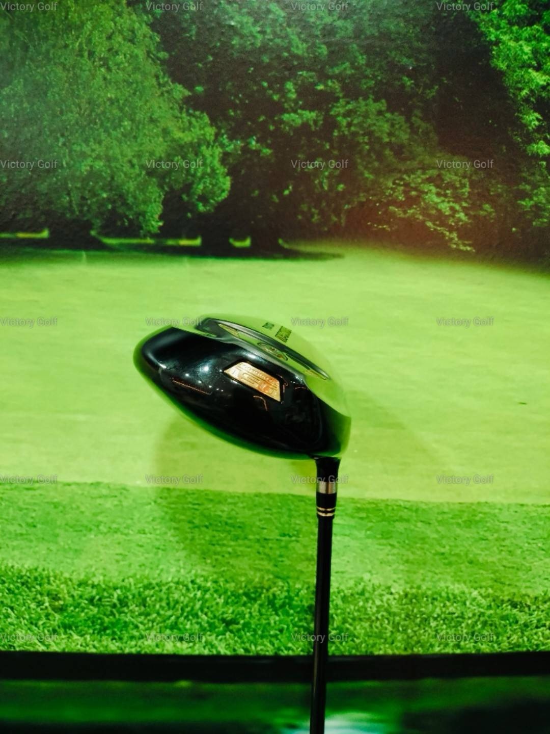 Driver Ryoma MAXIMA Type D 10.0 (Tour AD Ryoma F) / (SR)