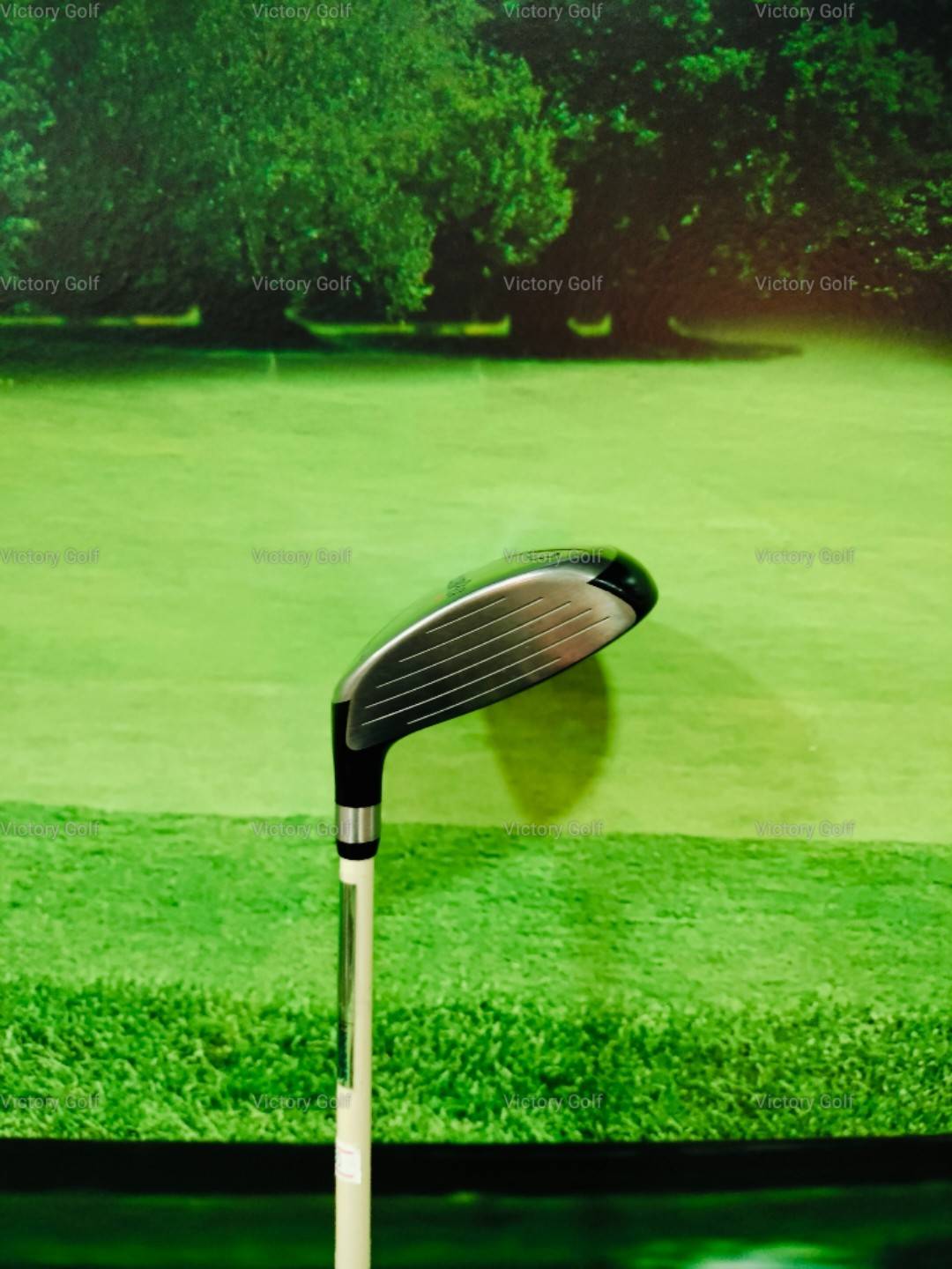 Fairway Tsuruya Goldenprix VX 7/21° (Rombax) / (R) 41"/D3/CPM246