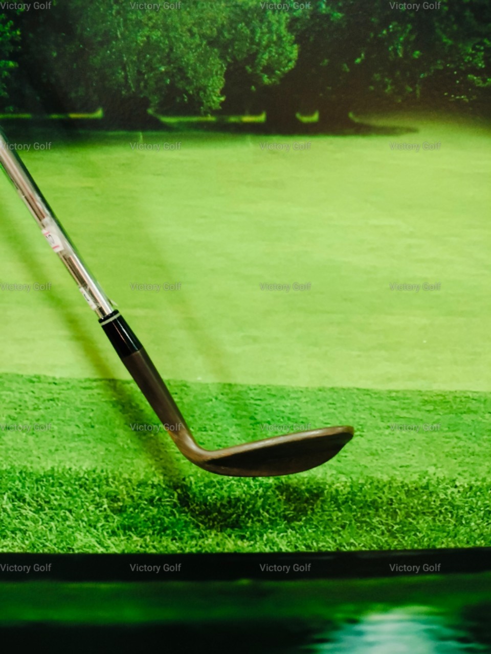 Wedge Royal Collection DB Forged Loft 58 (N.S.Pro)