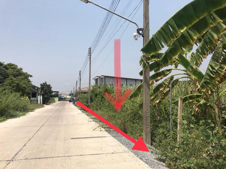 ขายที่ดิน ซอยหมอศรี (รหัสทรัพย์ 201968) ต. ไร่ขิง อ.สามพราน จ.นครปฐม