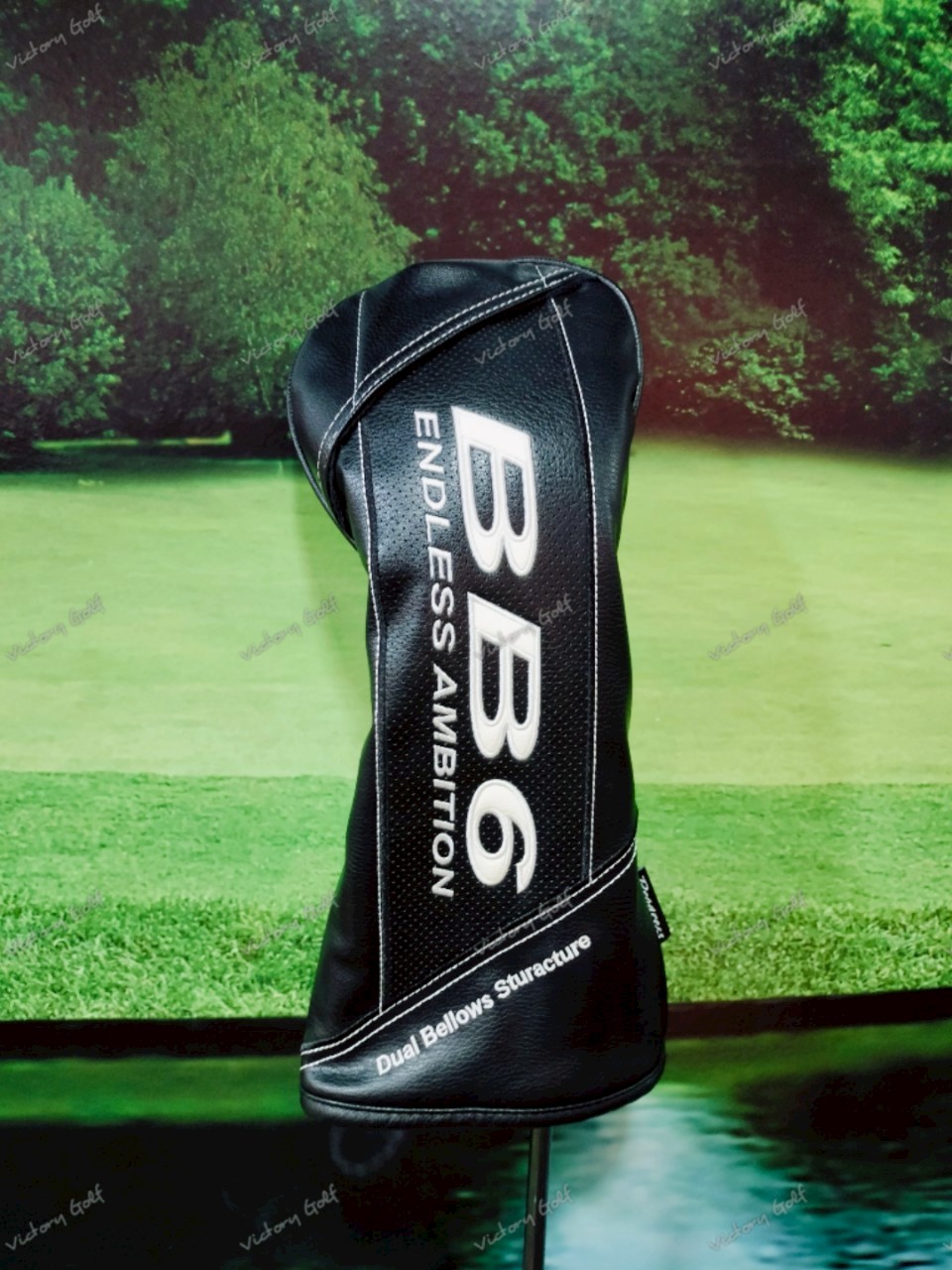 Driver Progress BB6 Endless Ambition 9.5 ( Basileus )/ ( SR )