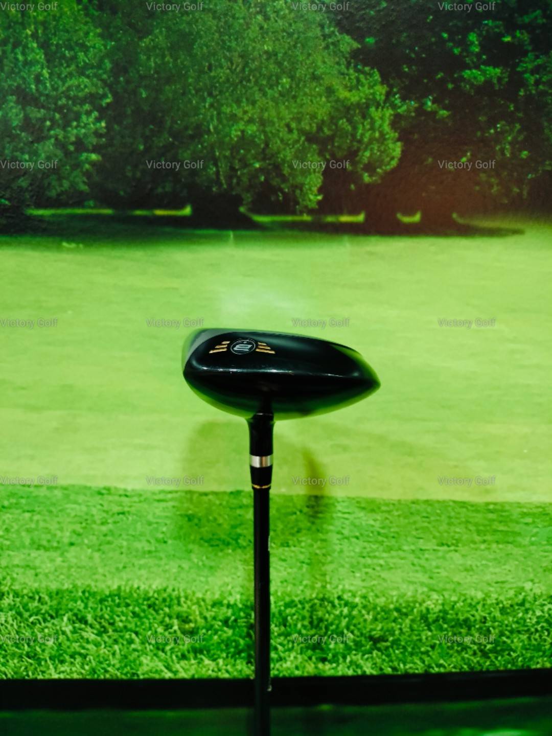 Fairway Honma Beres MG712 5/18(ARMRQ B49 1 star ) / (S)